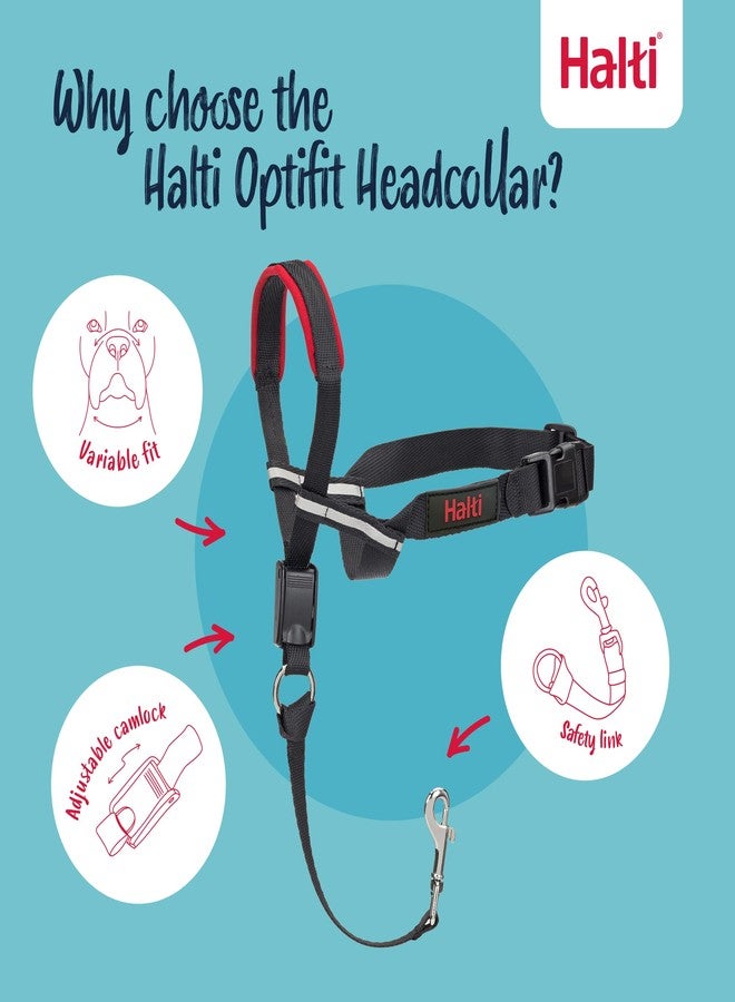 Halti Optifit Headcollar Size Medium & Halti Training Leash Size Large, Black Combination Pack - Stop Your Dog Pulling on the Leash. Adjustable with Padded Nose Band. Suitable for Medium Dogs - Image 3